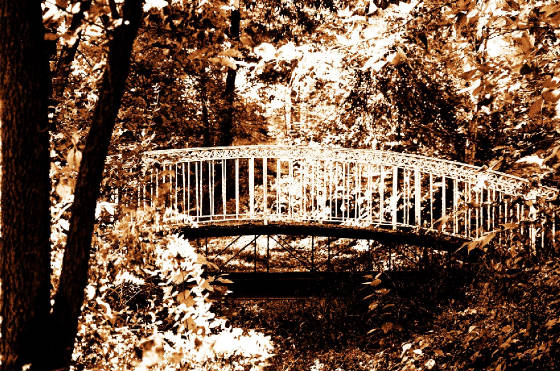 bridge2-1.jpg
